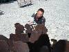 [thumbnail of Picture 109]