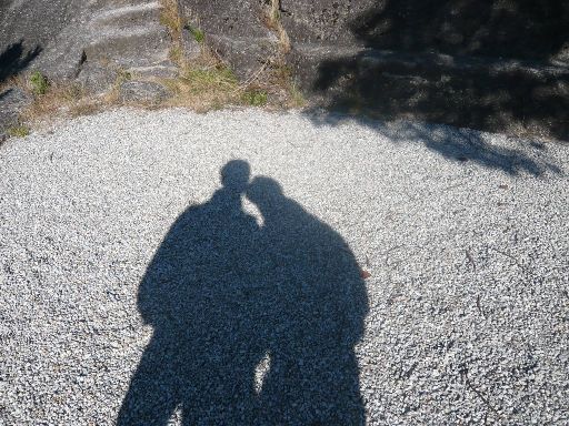 ImageImage767.web.jpg