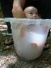 [thumbnail of Picture 5]