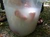 [thumbnail of Picture 6]