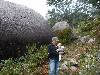 [thumbnail of Picture 8]