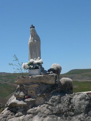 ImageImage825.web.jpg