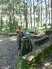 [thumbnail of Picture 28]
