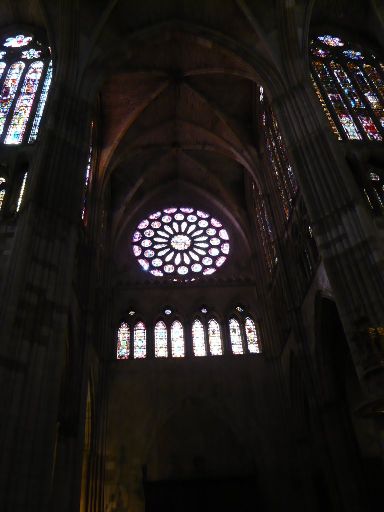 ImageImage922.web.jpg