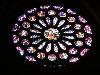 [thumbnail of Picture 59]