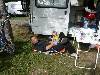 [thumbnail of Picture 62]