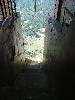 [thumbnail of Picture 67]