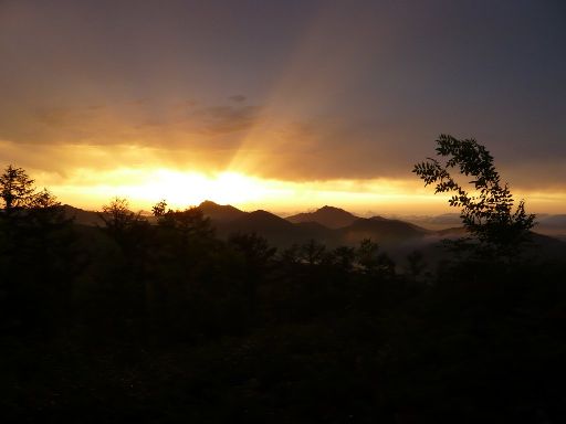 ImageImage978.web.jpg