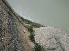 [thumbnail of Picture 13]