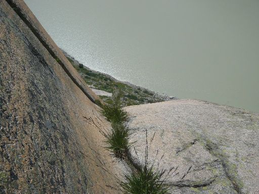 ImageImage1010925.web.jpg