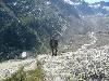 [thumbnail of Picture 17]