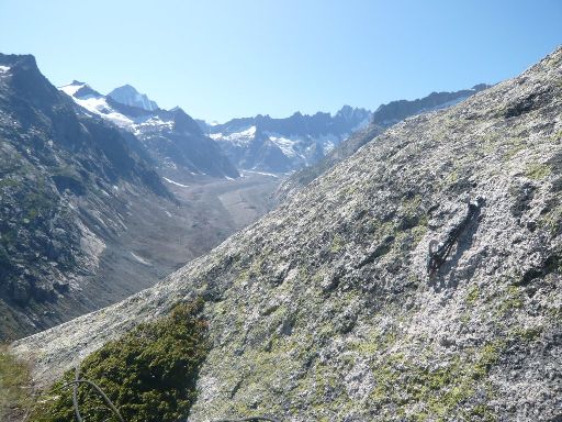 ImageImage1010936.web.jpg