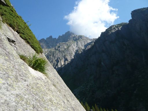 ImageImage1010962.web.jpg