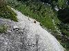[thumbnail of Picture 53]
