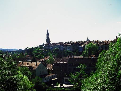Image0035.web.jpg