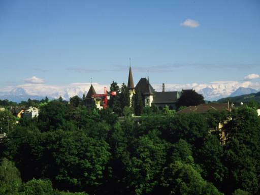Image0037.web.jpg
