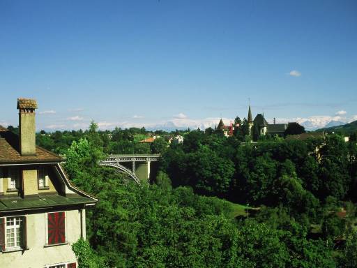 Image0038.web.jpg