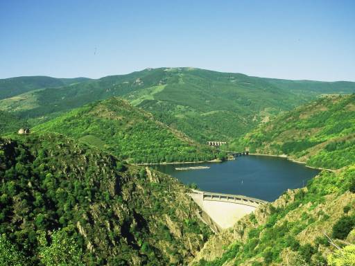 Image0043.web.jpg
