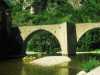 [thumbnail of Picture 21]