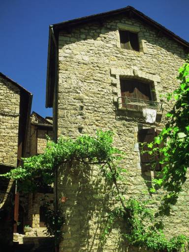 Image0051.web.jpg