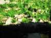 [thumbnail of Picture 28]