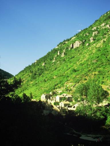 Image0056.web.jpg