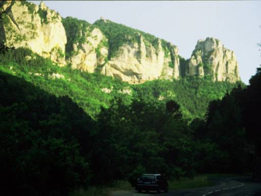 Image0058.web.jpg