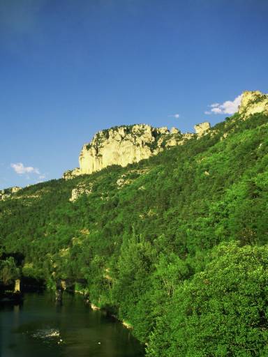 Image0060.web.jpg