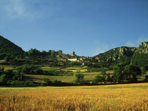Image0062.web.jpg