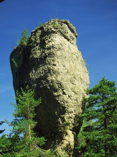 Image0063.web.jpg