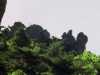 [thumbnail of Picture 1]