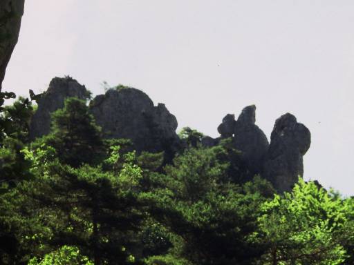 Image0065.web.jpg