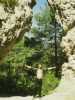 [thumbnail of Picture 4]