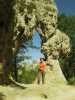 [thumbnail of Picture 6]