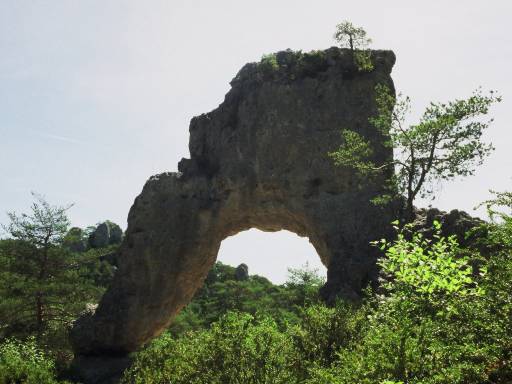 Image0074.web.jpg