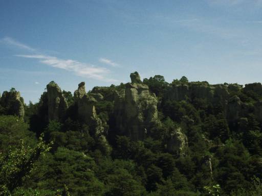 Image0075.web.jpg