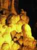 [thumbnail of Picture 16]