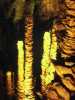 [thumbnail of Picture 17]