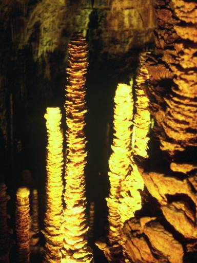 Image0081.web.jpg