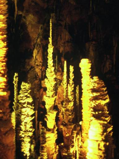 Image0082.web.jpg