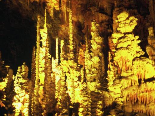 Image0084.web.jpg