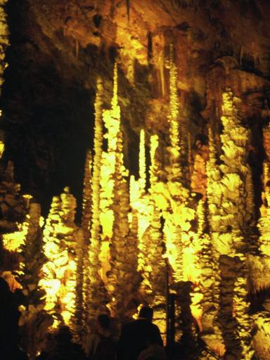 Image0085.web.jpg