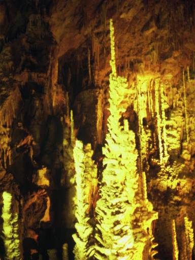Image0089.web.jpg
