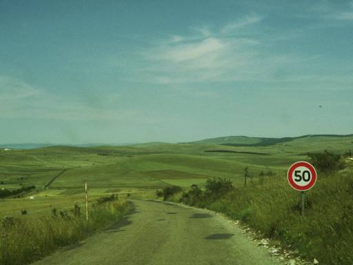 Image0091.web.jpg