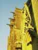 [thumbnail of Picture 33]