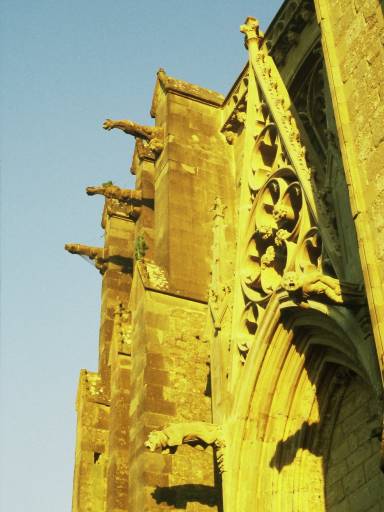 Image0097.web.jpg