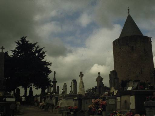 Image0100.web.jpg