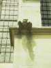 [thumbnail of Picture 3]