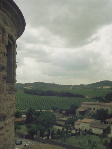 Image0006.web.jpg