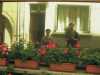 [thumbnail of Picture 22]